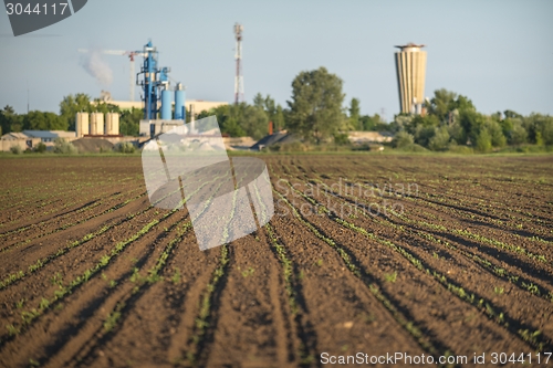 Image of Cultivated land