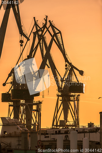 Image of Industrial cargo cranes in the dock