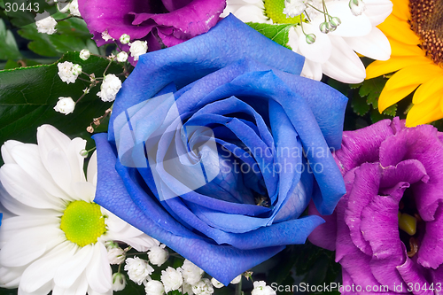 Image of Floral arrangement closeup