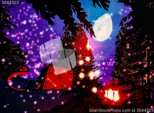 Image of Christmas forest