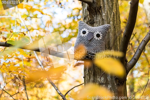 Image of Soft toy owl is placed in autumn forest