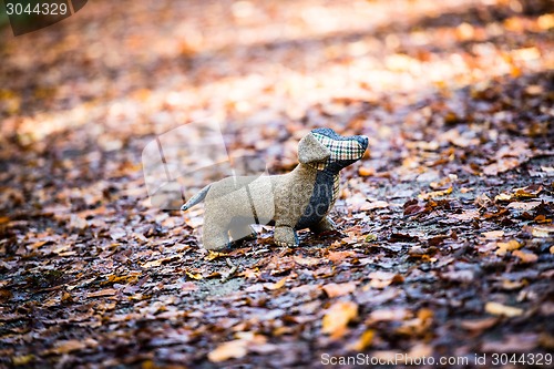 Image of Soft toy dog is placed in autumn forest