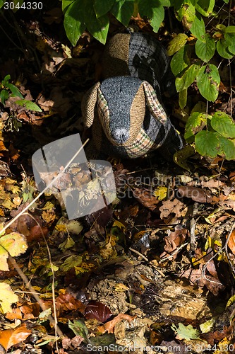 Image of Soft toy dog is placed in autumn forest