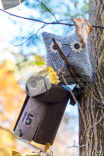 Image of Soft toy owl is placed in autumn forest