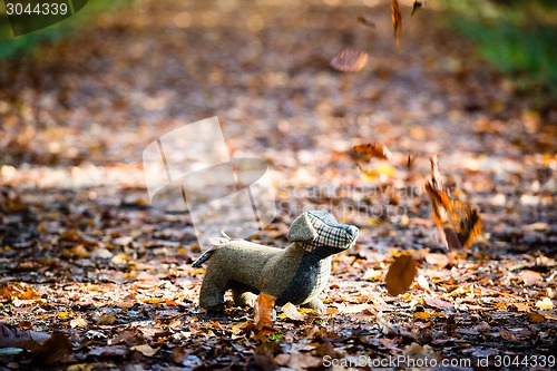 Image of Soft toy dog is placed in autumn forest