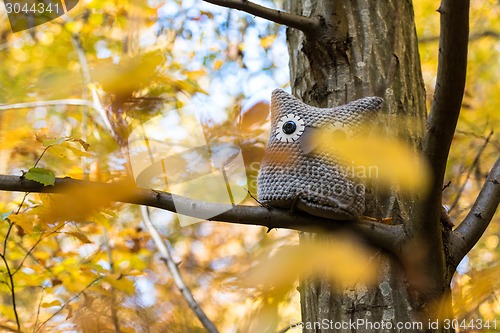 Image of Soft toy owl is placed in autumn forest