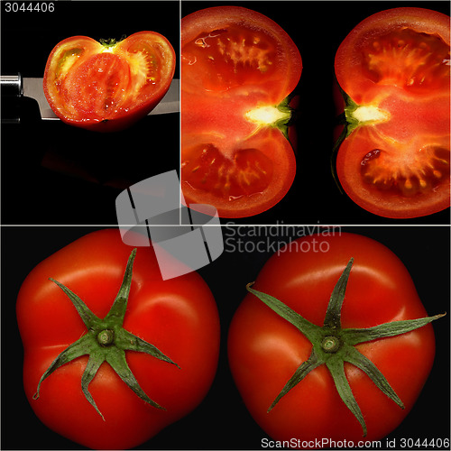 Image of tomatoes collage