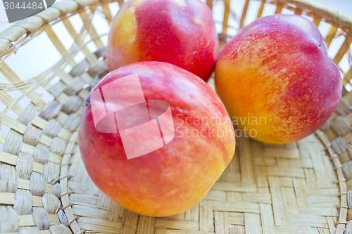 Image of still life