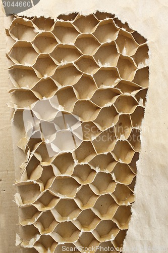 Image of Inner part of cardboard