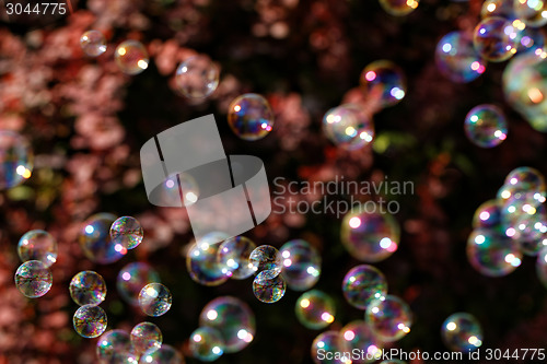 Image of Soap bubbles