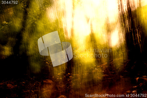 Image of Blurred trees background