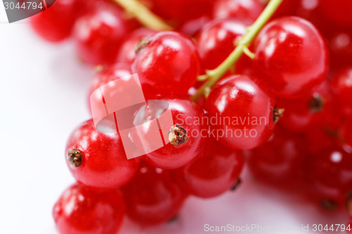 Image of Red currant