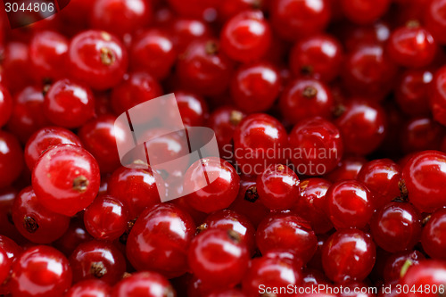 Image of Background red currants