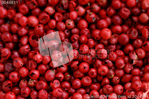Image of Pink Pepper