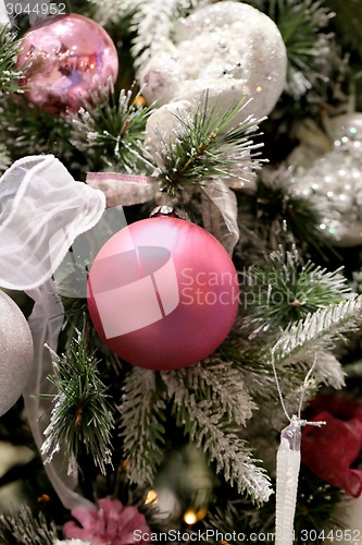 Image of Christmas tree