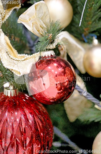 Image of Christmas tree