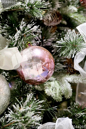 Image of Christmas tree