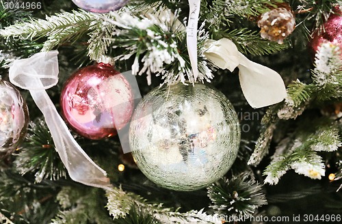 Image of Christmas tree