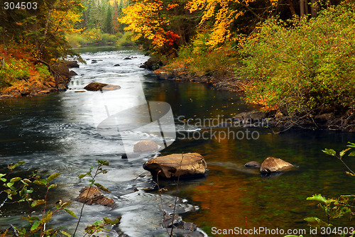 Image of Forest river in the fall