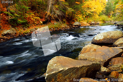 Image of Forest river in the fall