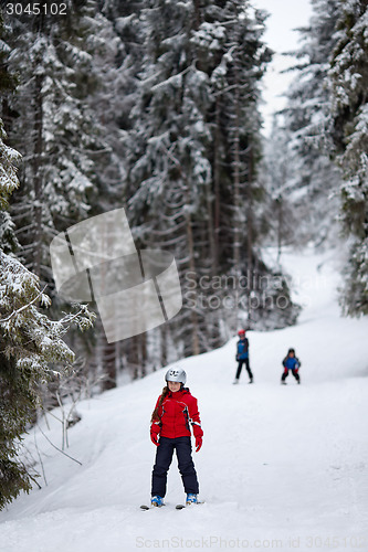 Image of Little skiers