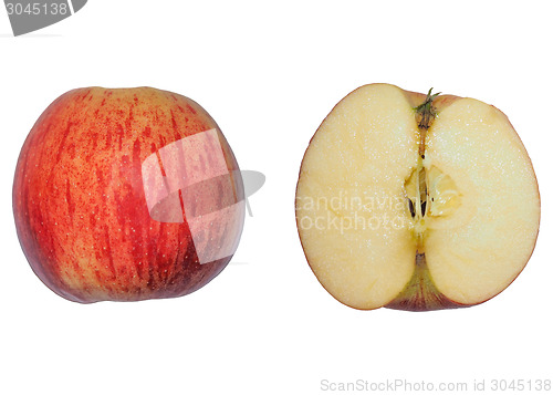 Image of Red Apple