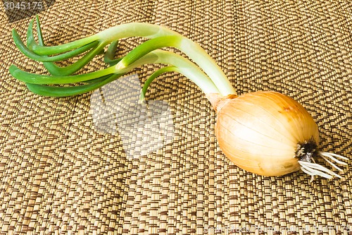 Image of isolated object