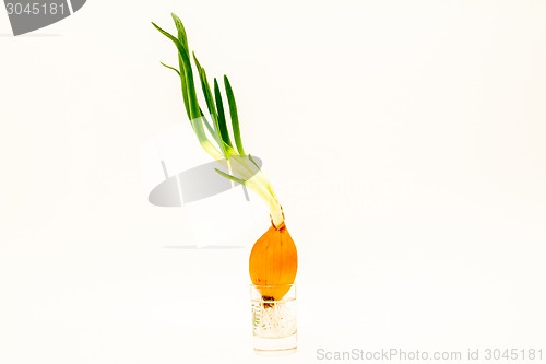 Image of isolated object