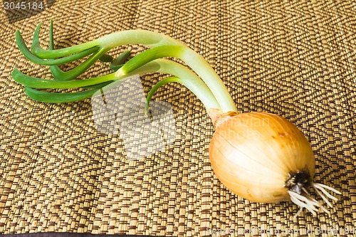 Image of isolated object