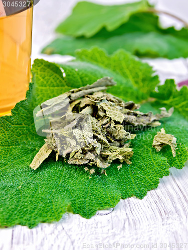 Image of Sage dried on fresh leaves with cup on board