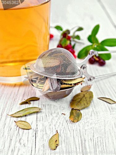 Image of Lingonberry leaf in strainer with cup of tea