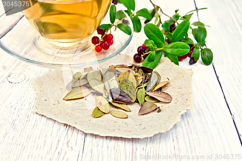 Image of Lingonberry leaf on paper with cup