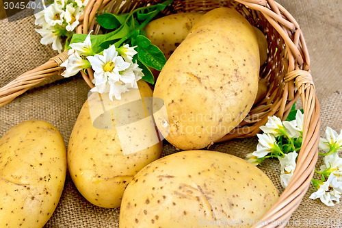 Image of Potato yellow with basket and flower on sacking