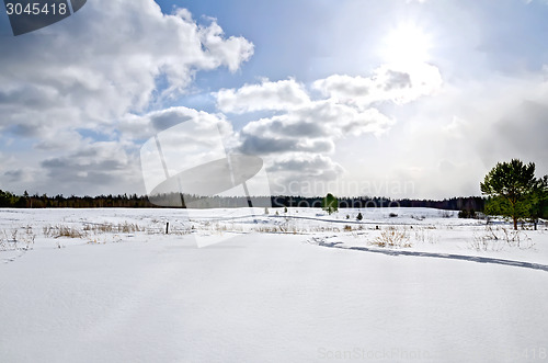 Image of Winter field and forest