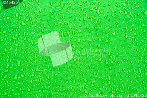 Image of Tent fabric green with water drops