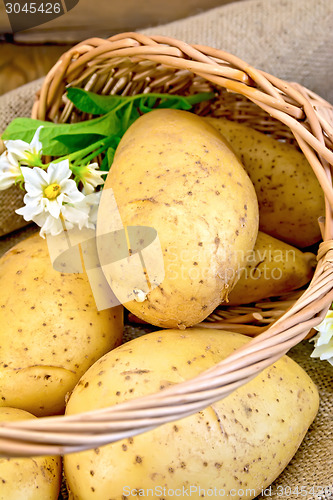 Image of Potatoes yellow with flower in basket on sackcloth and board