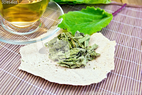 Image of Sage dried on paper with cup on board