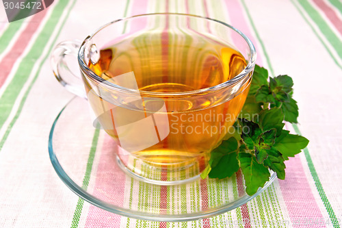 Image of Tea with mint in cup on tablecloth