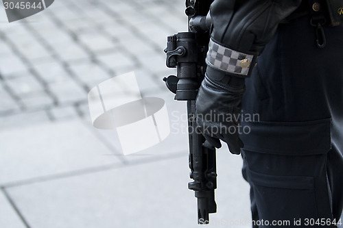 Image of Armed Police