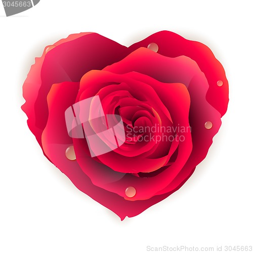 Image of Isolated beautiful red rose heart. EPS 10