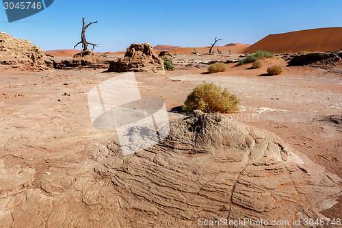 Image of Sossusvlei beautiful landscape of death valley