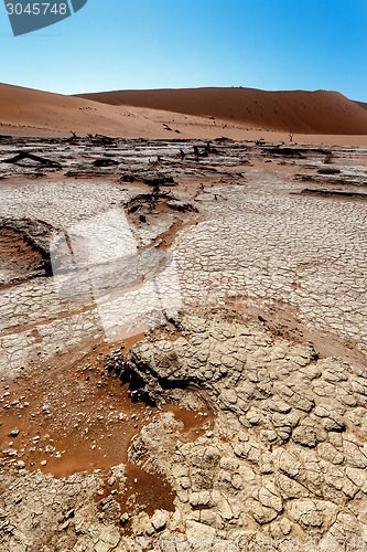 Image of Sossusvlei beautiful landscape of death valley