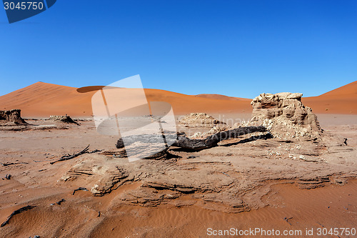 Image of Sossusvlei beautiful landscape of death valley