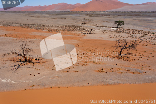 Image of Dune 45 in sossusvlei Namibia, view from the top of a Dune 45 in sossusvlei Namibia, view from the top