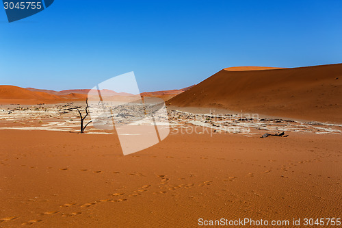 Image of Sossusvlei beautiful landscape of death valley