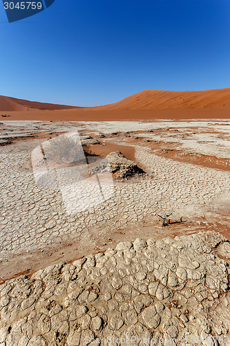 Image of Sossusvlei beautiful landscape of death valley