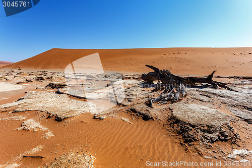 Image of Sossusvlei beautiful landscape of death valley