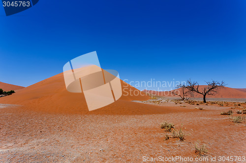 Image of Dune 45 in sossusvlei NamibiaDune 45 in sossusvlei Namibia, view