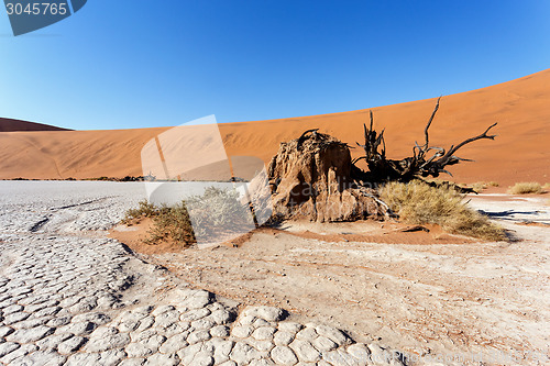 Image of Sossusvlei beautiful landscape of death valley