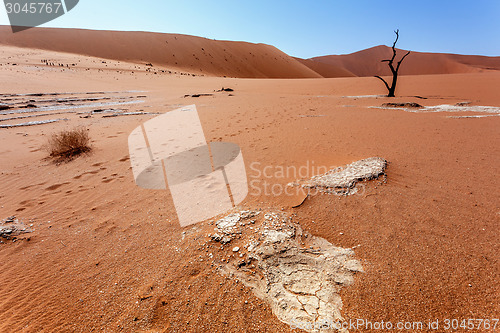 Image of Sossusvlei beautiful landscape of death valley